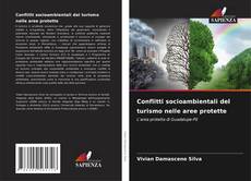 Copertina di Conflitti socioambientali del turismo nelle aree protette