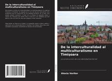 Copertina di De la interculturalidad al multiculturalismo en Timişoara