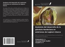 Обложка Anatomía del desarrollo de la glándula Harderiana en embriones de Leghorn blanco