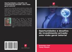 Couverture de Oportunidades e desafios do investimento privado: uma visão geral setorial