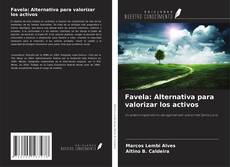 Borítókép a  Favela: Alternativa para valorizar los activos - hoz