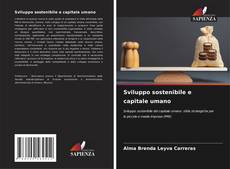 Обложка Sviluppo sostenibile e capitale umano