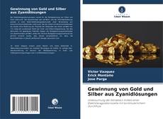 Copertina di Gewinnung von Gold und Silber aus Zyanidlösungen