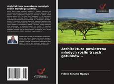 Buchcover von Architektura powietrzna młodych roślin trzech gatunków...