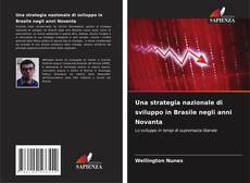 Bookcover of Una strategia nazionale di sviluppo in Brasile negli anni Novanta