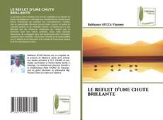 Copertina di LE REFLET D’UNE CHUTE BRILLANTE