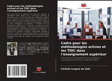 Cadre pour les méthodologies actives et les TDIC dans l'enseignement supérieur的封面