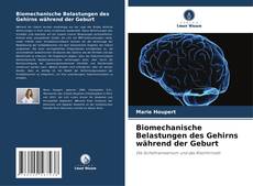 Borítókép a  Biomechanische Belastungen des Gehirns während der Geburt - hoz
