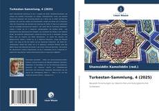 Buchcover von Turkestan-Sammlung, 4 (2025)