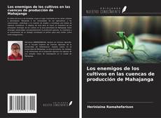 Couverture de Los enemigos de los cultivos en las cuencas de producción de Mahajanga