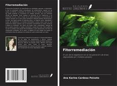Buchcover von Fitorremediación