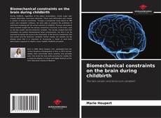 Capa do livro de Biomechanical constraints on the brain during childbirth 