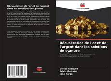 Portada del libro de Récupération de l'or et de l'argent dans les solutions de cyanure