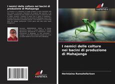 Buchcover von I nemici delle colture nei bacini di produzione di Mahajanga