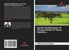 Couverture de Aerial Architecture of Young Plants of Three Species...