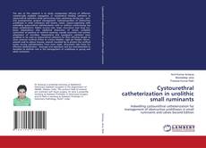Bookcover of Cystourethral catheterization in urolithic small ruminants