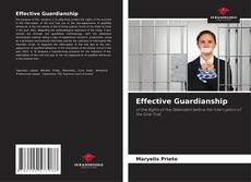 Обложка Effective Guardianship