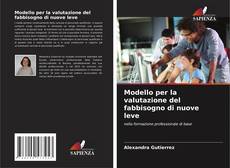 Buchcover von Modello per la valutazione del fabbisogno di nuove leve