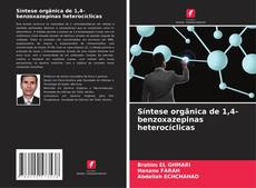 Copertina di Síntese orgânica de 1,4-benzoxazepinas heterocíclicas