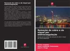 Copertina di Remoção do cobre e do níquel por eletrocoagulação
