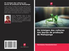 Buchcover von Os inimigos das culturas nas bacias de produção de Mahajanga