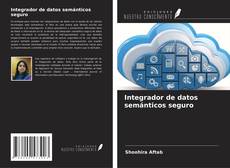 Copertina di Integrador de datos semánticos seguro