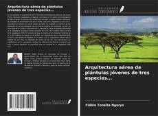 Borítókép a  Arquitectura aérea de plántulas jóvenes de tres especies... - hoz