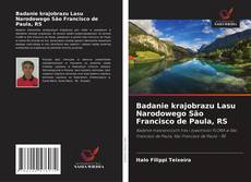 Copertina di Badanie krajobrazu Lasu Narodowego São Francisco de Paula, RS