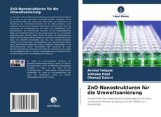 ZnO-Nanostrukturen für die Umweltsanierung的封面
