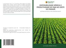 DISPONIBILIDADE HÍDRICA E PRODUTIVIDADE DE SOJA NO OESTE DO PARANÁ的封面