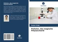 Buchcover von Pullulan, das magische Polysaccharid