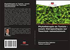 Bookcover of Phytothérapie en Tunisie : essais thérapeutiques sur Teucrium ramosissimum
