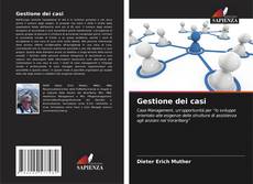 Gestione dei casi kitap kapağı