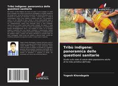 Tribù indigene: panoramica delle questioni sanitarie kitap kapağı