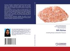 Bookcover of Rift Riches
