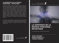 Buchcover von LA HIPÓTESIS DE LA MATRIZ FUNCIONAL - REVISITADA