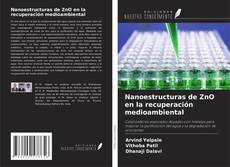 Bookcover of Nanoestructuras de ZnO en la recuperación medioambiental