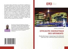 EFFICACITE ENERGETIQUE DES BÄTIMENTS kitap kapağı