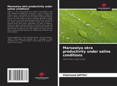 Обложка Marsawiya okra productivity under saline conditions