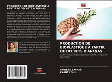 Couverture de PRODUCTION DE BIOPLASTIQUE À PARTIR DE DÉCHETS D'ANANAS