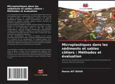Microplastiques dans les sédiments et sables côtiers : Méthodes et évaluation的封面