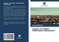 Buchcover von Lagune von Nador: Gefährdetes Ökosystem