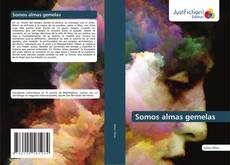 Somos almas gemelas kitap kapağı