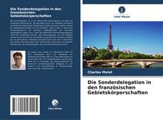 Bookcover of Die Sonderdelegation in den französischen Gebietskörperschaften