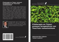 Capa do livro de Fitoterapia en Túnez: ensayos terapéuticos con Teucrium ramosissimum 