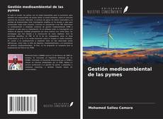 Copertina di Gestión medioambiental de las pymes