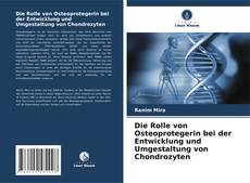 Buchcover von Die Rolle von Osteoprotegerin bei der Entwicklung und Umgestaltung von Chondrozyten