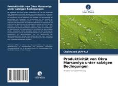 Buchcover von Produktivität von Okra Marsawiya unter salzigen Bedingungen