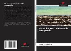Couverture de Nador Lagoon: Vulnerable Ecosystem