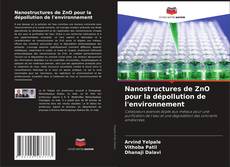 Copertina di Nanostructures de ZnO pour la dépollution de l'environnement